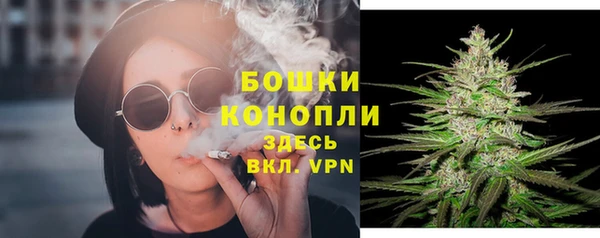apvp Арсеньев