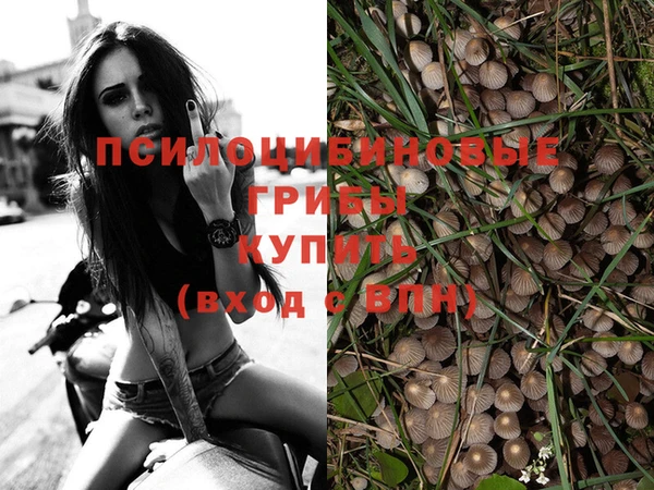 СК Аркадак